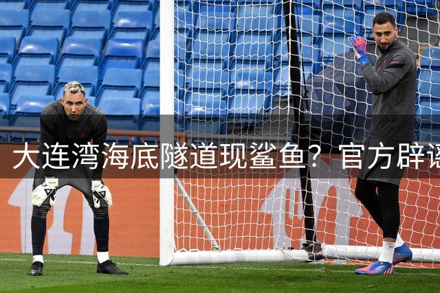 大连湾海底隧道现鲨鱼？官方辟谣：实为水泥结构无观景窗